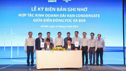 Đón đầu xu thế chuyển dịch năng lượng, nâng cao năng lực cạnh tranh trong lĩnh vực dịch vụ của Petrovietnam