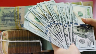 តម្លៃ USD ដោយឥតគិតថ្លៃបញ្ច្រាស់ និងកើនឡើងយ៉ាងខ្លាំង