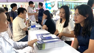 ដោយបង្ខំឱ្យពិនិត្យមើលបទប្បញ្ញត្តិនៃការចូលរៀន សាស្ត្រាចារ្យជាច្រើននៃសាកលវិទ្យាល័យពហុបច្ចេកទេសមានប្រតិកម្ម