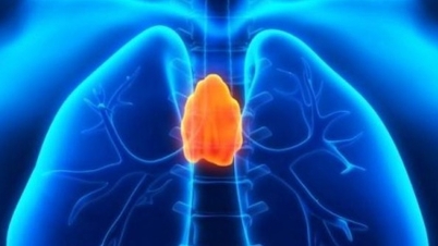 Avertissement sur le cancer du médiastin à travers deux cas et les conseils des médecins