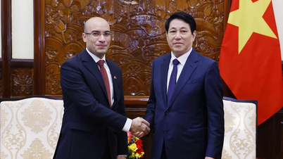 President Luong Cuong received Algerian Ambassador Sofiane Chaib to say goodbye