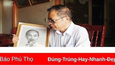 Cây dừa hai mầm trong vườn Bác
