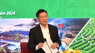북부 중부 및 산간지방 개발을 위한 특별한 메커니즘을 구축해야 합니다.