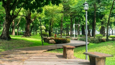 ព្រះអាទិត្យគ្របដណ្តប់គ្រប់ផ្លូវ