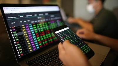 Một cổ phiếu nằm sàn 3 phiên liên tiếp, sau 11 phiên tăng trần