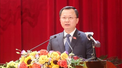 Approving the election results of Mr. Cao Tuong Huy as Chairman of Quang Ninh Provincial People's Committee