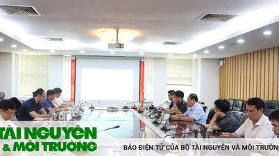 Khẩn trương hoàn thiện dự thảo Nghị định quy định chi tiết Luật Khoáng sản