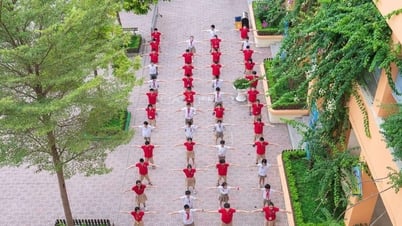 Công an thông tin vụ nữ sinh lớp 5 ở Hà Nội bị đánh rách mặt ngay tại trường