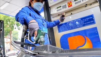 Phê duyệt Quy hoạch hạ tầng dự trữ, cung ứng xăng dầu, khí đốt quốc gia