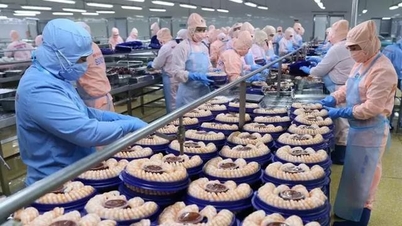 Estados Unidos no ha reconocido a Vietnam como un país con economía de mercado.