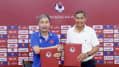 'ក្រុមនារីវៀតណាមមានភារកិច្ចសំខាន់ៗជាច្រើន...'