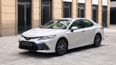 Lý do xe sedan cho người giàu đang đánh mất vị thế ở Việt Nam