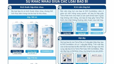 SỮA TƯƠI SẠCH TRONG 3 LOẠI BAO BÌ HỘP GIẤY CHẤT LƯỢNG QUỐC TẾ