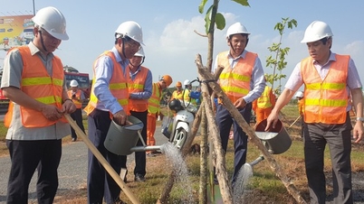 Hàng nghìn cây xanh được trồng dọc các tuyến quốc lộ sau Tết