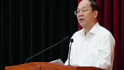 លោក Nguyen Ho Hai បានចែករំលែកអំពីសមិទ្ធិផលលេចធ្លោចំនួន ៣ របស់ទីក្រុងហូជីមិញក្នុងឆ្នាំ ២០២៤