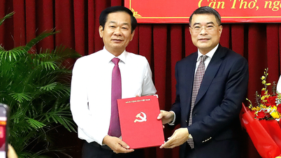 Bí thư tỉnh ủy Kiên Giang Đỗ Thanh Bình làm Bí thư Thành ủy Cần Thơ