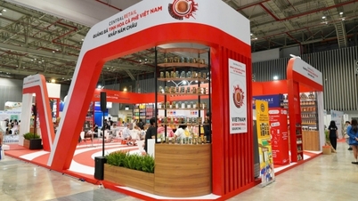 Promoting regional linkage resources in trade promotion from the "lesson of chopsticks"