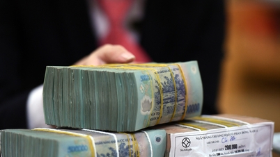 Chuyên gia thuế chỉ rõ thiệt thòi người nộp thuế thu nhập cá nhân phải gánh