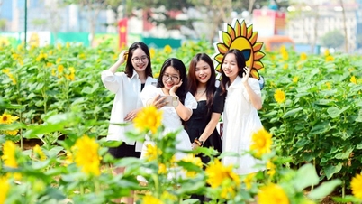 តើវាពិបាកក្នុងការរួមបញ្ចូលជាមួយ Gen Z មែនទេ? ពង្រីកចំណេះដឹងរបស់អ្នក ផ្តល់ថាមពលដល់ខ្លួនអ្នក