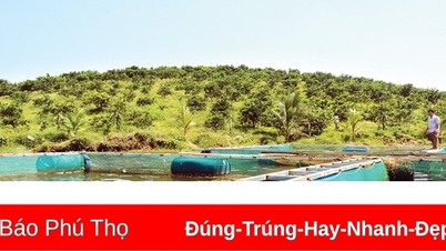 Cẩm Khê cơ cấu lại ngành nông nghiệp