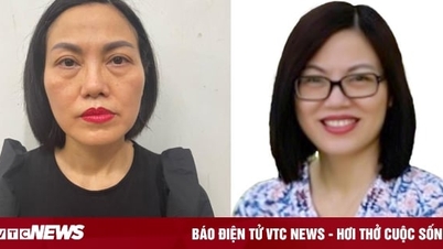Trưởng bộ phận thư ký tài chính Công ty AIC về nước đầu thú
