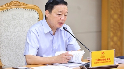 Trình báo cáo nghiên cứu tiền khả thi dự án đường Vành đai 4 TP.HCM trong tháng 11
