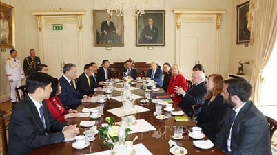 El secretario general y presidente To Lam mantiene conversaciones con el presidente irlandés Michael Higgins