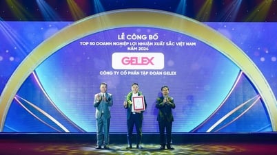 Kết thúc quý III, GELEX vượt hơn 18% mục tiêu lợi nhuận cả năm 2024