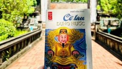 ស៊េរីសៀវភៅគួរឱ្យចាប់អារម្មណ៍សម្រាប់អ្នកស្រឡាញ់ប្រវត្តិសាស្ត្រវៀតណាម