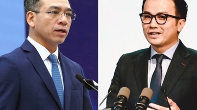 Hai thầy thuốc trẻ Việt Nam tham gia Ủy ban Y tế toàn cầu
