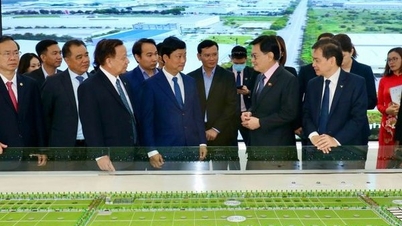 Expectations for the industrial real estate market in 2024 to "spread its wings"