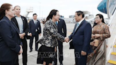 Prime Minister Pham Minh Chinh officially visits New Zealand