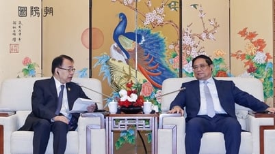 ADBにベトナムの大規模プロジェクトと民間セクターへの資本支援を提案