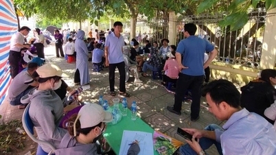Thanh Oai District continues to suspend the second auction of 57 land lots