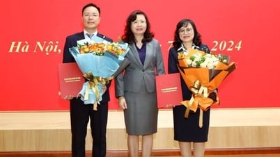 Điều động, bổ nhiệm cấp lãnh đạo tại Ủy ban Chứng khoán