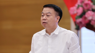 'Doanh nghiệp kinh doanh yến sào mà xuất hóa đơn 30.000 tỷ, phải kiểm tra'