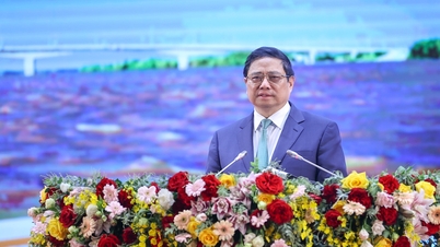 Kéo dài tuyến cao tốc Bắc-Nam thông tuyến tới tận mũi Cà Mau