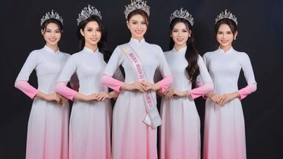 Miss Hoang Chau Anh takes on the responsibility of National Green Environment Ambassador
