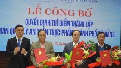 Extending the pilot period of the Food Safety Management Board of Da Nang City