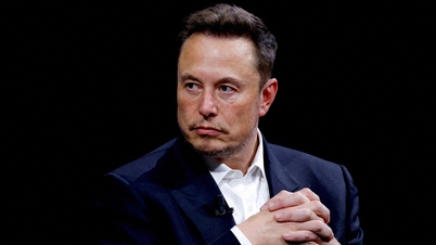 Elon Musk បានធ្វើឱ្យគ្រប់គ្នាភ្ញាក់ផ្អើលដោយនិយាយថាគាត់ "មិនត្រូវការសញ្ញាបត្រ" នៅពេលជ្រើសរើសបុគ្គលិក