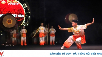 Mãn nhãn màn trình diễn võ cổ truyền, thi đấu võ thuật quốc tế