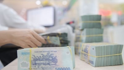 HoREA kiến nghị NHNN có quy định về tiền Đồng Việt Nam kỹ thuật số (e-VNĐ)