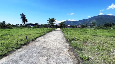 Disciplinary action against many officials involved in land violations in Khanh Hoa