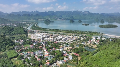 "Golden Hill City" - ភ្នំ Flamingo Golden Hill និងការរំពឹងទុកនៃការយកទេសចរណ៍ Ha Nam ចេញ