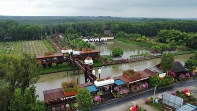 ស្ថាបត្យកម្មរីករាយនៅគ្រប់គម្រោង