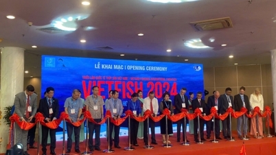 280 doanh nghiệp tham gia Triển lãm thủy sản quốc tế (Vietfish) lần thứ 25