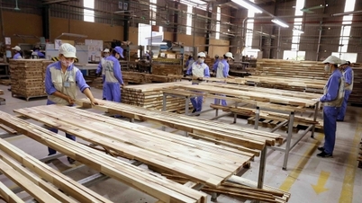 Nâng cao năng lực ứng phó với các vụ việc phòng vệ thương mại