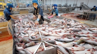 Vietnam is the largest supplier of pangasius to Colombia.