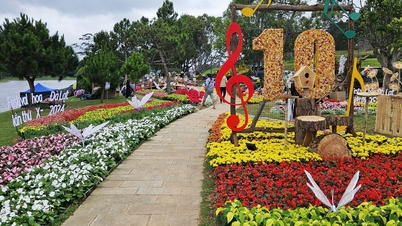 Fiesta de flores bulliciosa en Da Lat