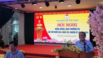 សមាគមមេធាវីវៀតណាមបានរៀបចំសន្និសីទគណៈប្រតិភូបក្ស និងគណៈកម្មាធិការអចិន្ត្រៃយ៍លើកទី១៣